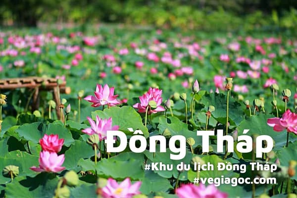 HCM đi Đồng Tháp